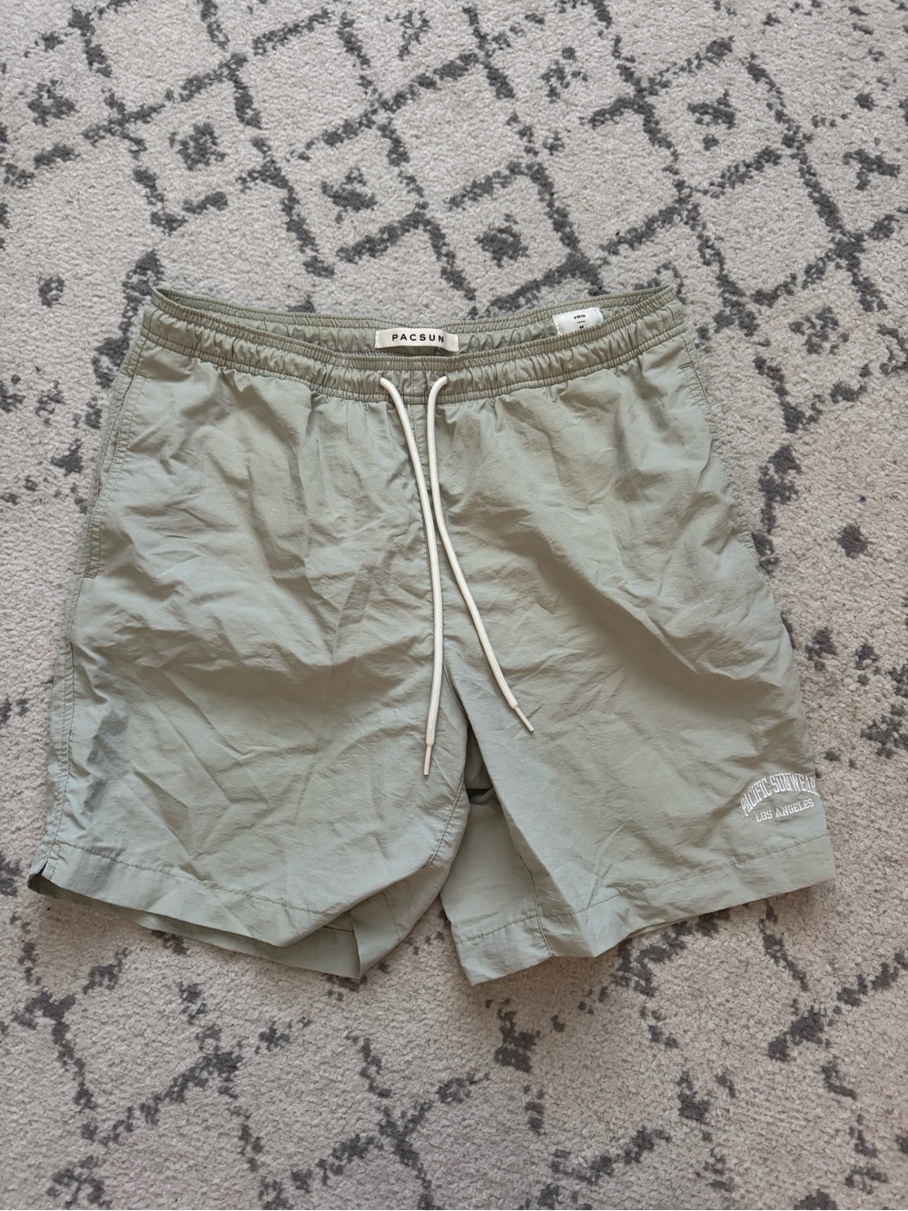 PacSun Men's Collegiate Swim Trunks